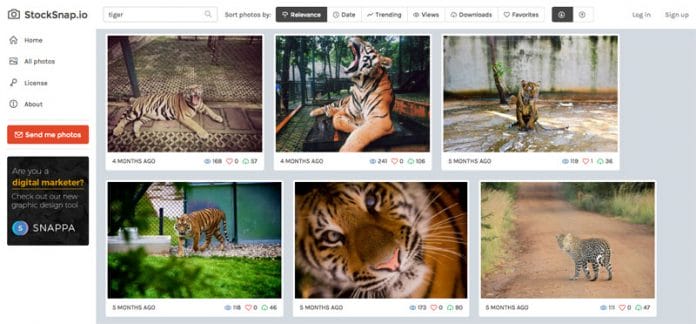 StockSnap: Beautiful free stock photos